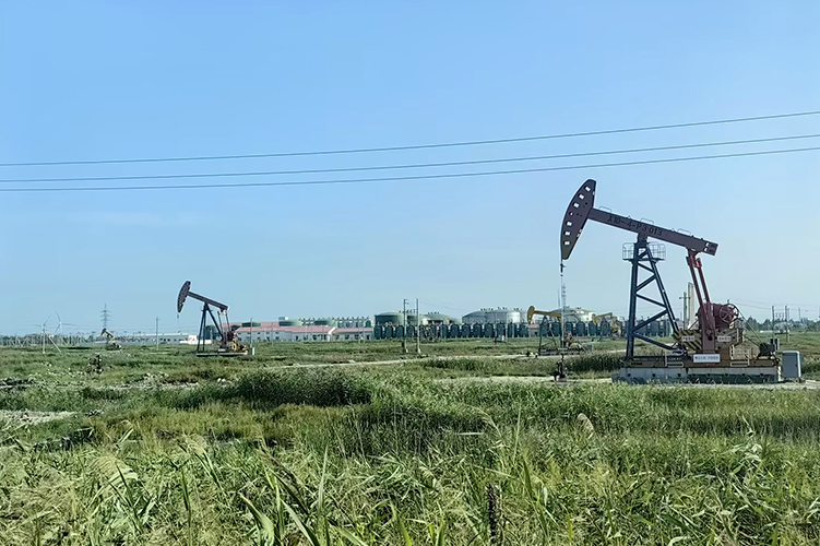 石油化工領(lǐng)域系統(tǒng)解決方案